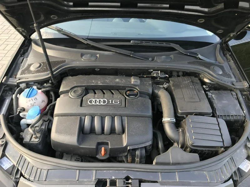 Audi A3 8P 15