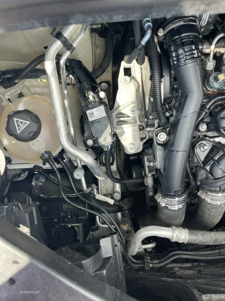 Toyota Proace City 19