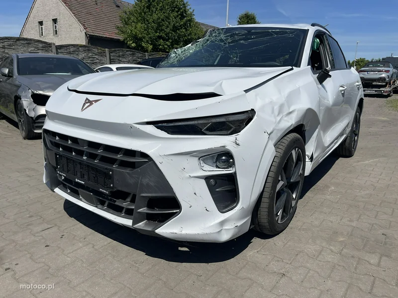 Cupra Terramar 11
