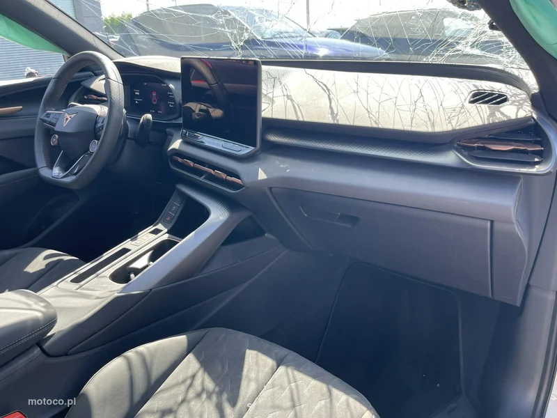 Cupra Terramar 17