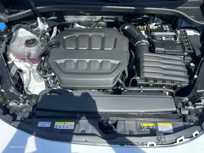 Cupra Terramar 20
