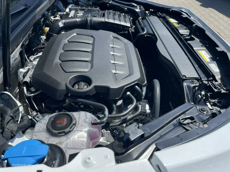 Cupra Terramar 22