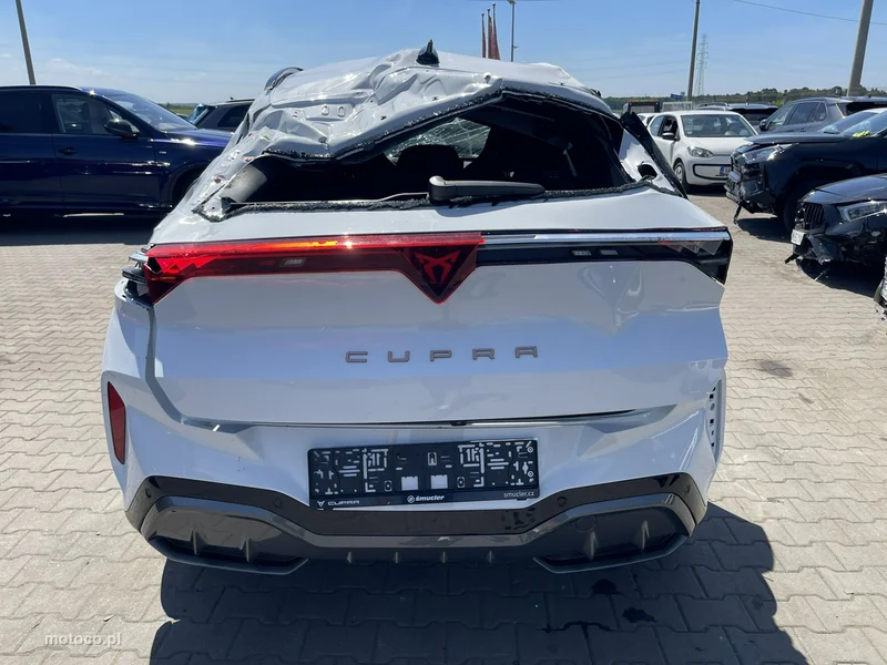 Cupra Terramar 5