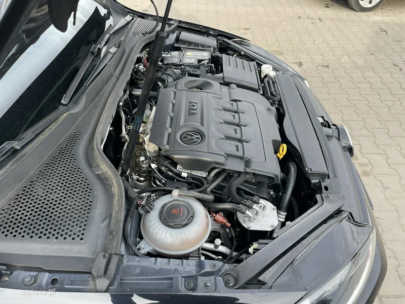 Volkswagen Golf VII 15