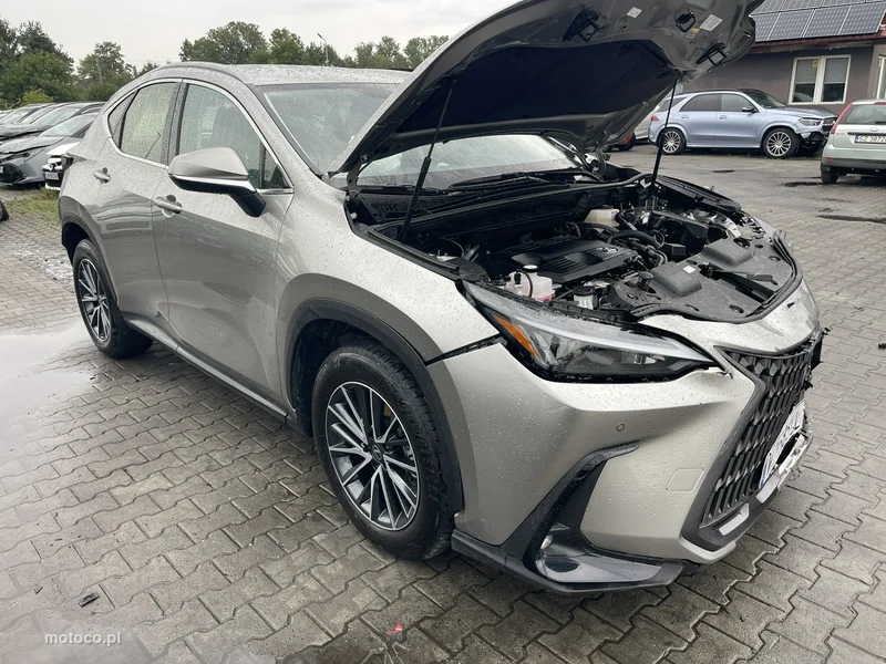 Lexus NX 2