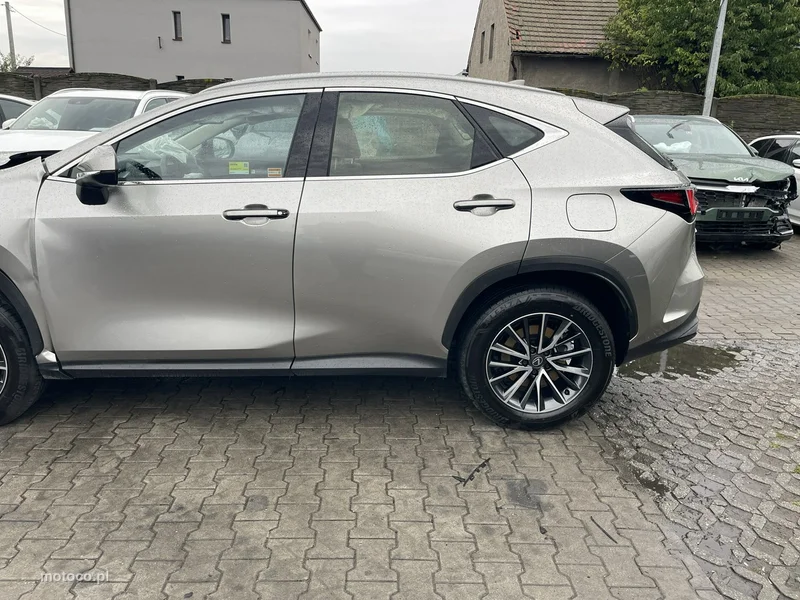 Lexus NX 6