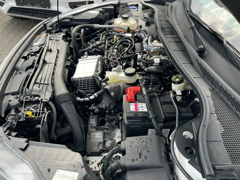 Ford Kuga III 16