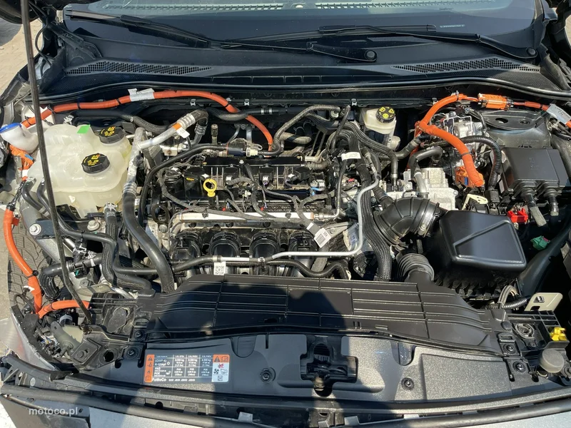 Ford Kuga III 12