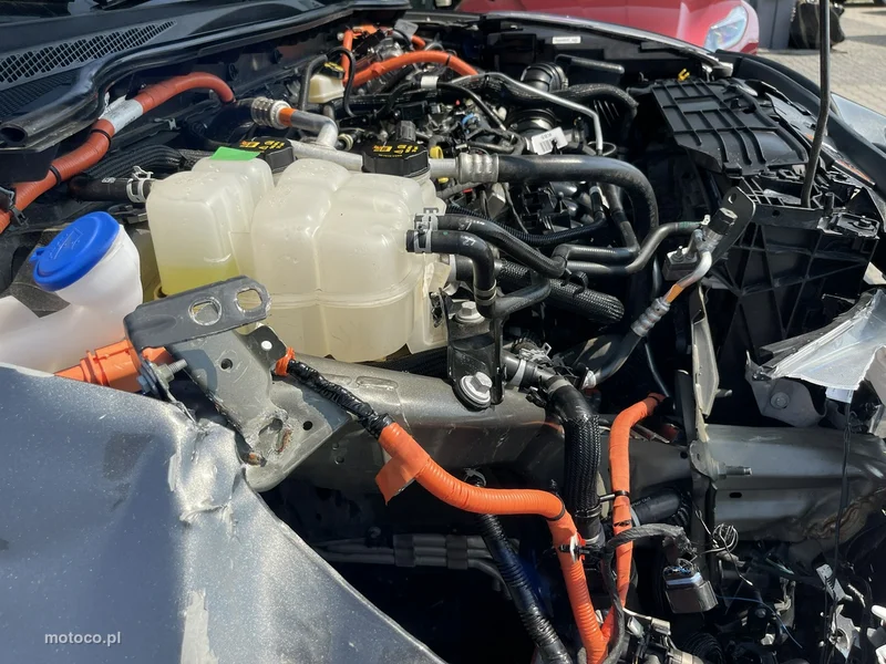 Ford Kuga III 13