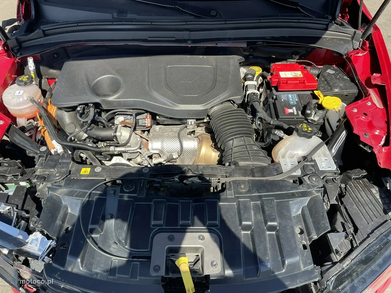 Dodge Hornet 13