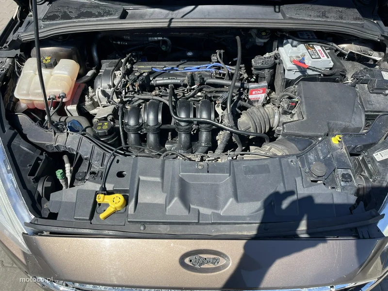 Ford Focus III 10