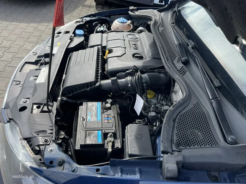 Seat Ibiza 12