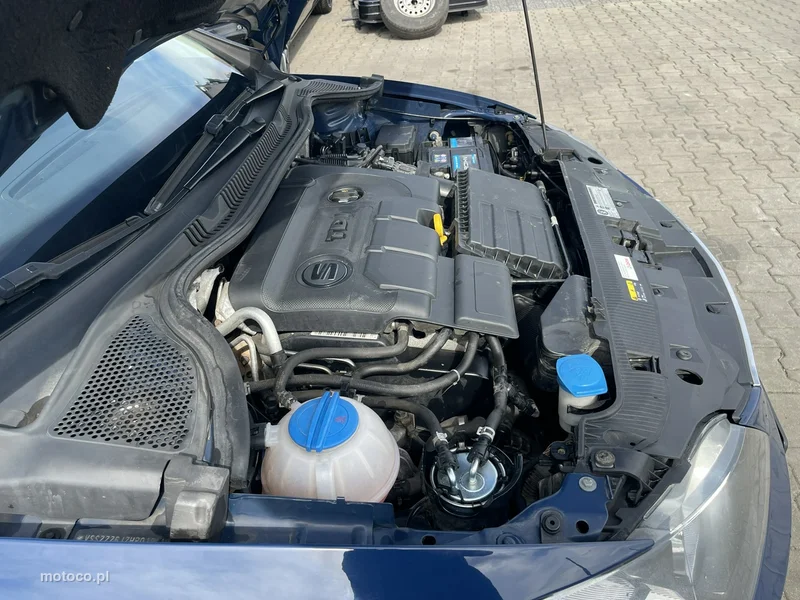 Seat Ibiza 13