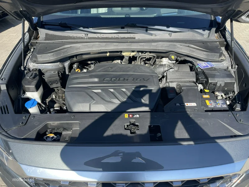 Hyundai Grand Santa Fe 19
