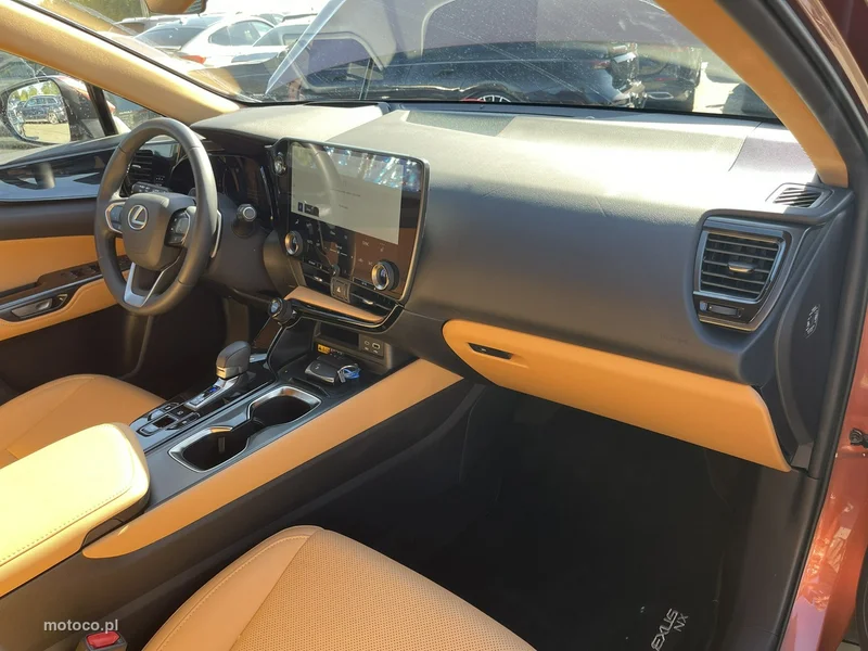 Lexus NX 13