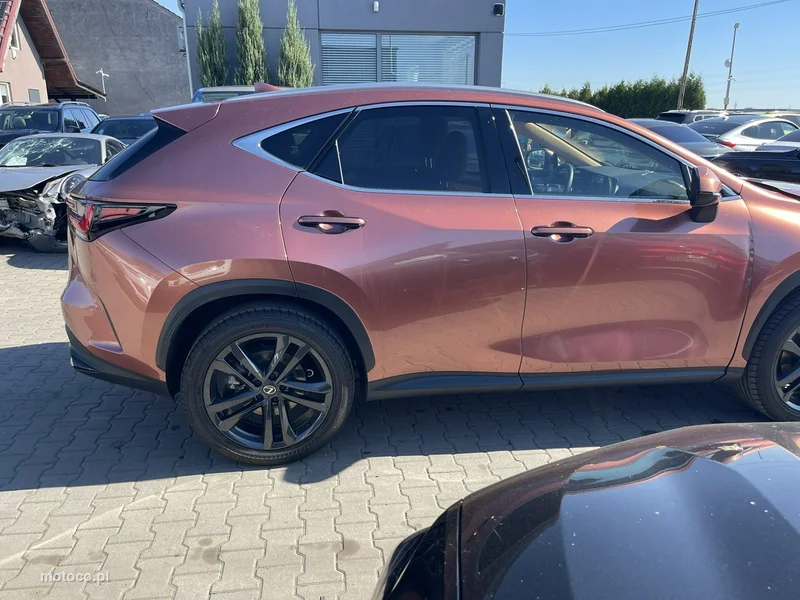 Lexus NX 5