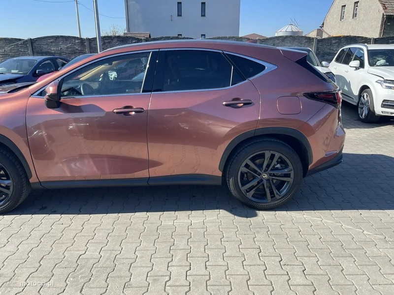 Lexus NX 7