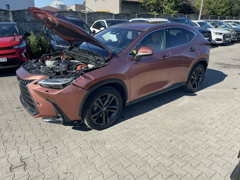 Lexus NX 8