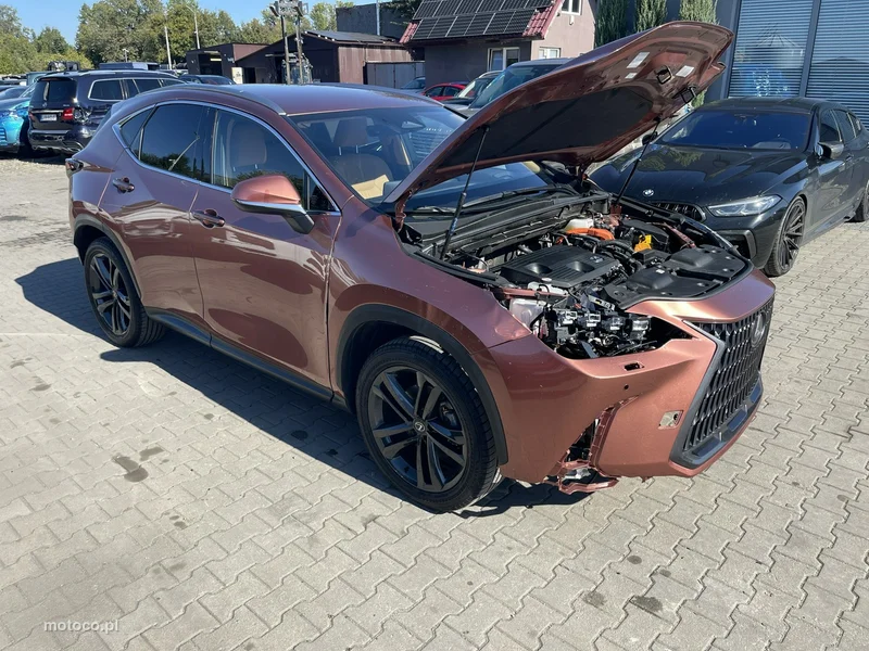Lexus NX 9