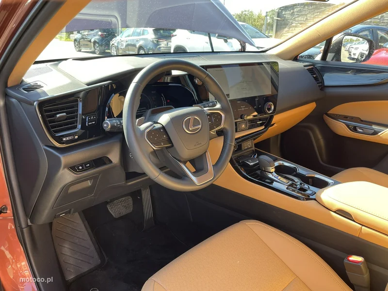 Lexus NX 10