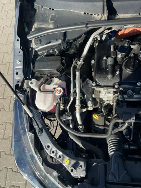 Toyota Corolla E210 6