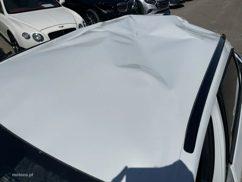Cupra Terramar 8