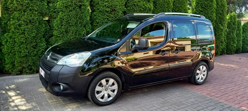 Citroen Berlingo 19