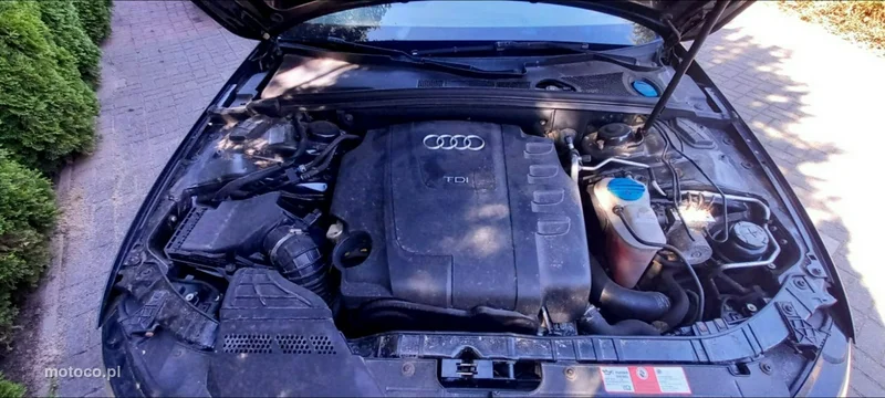 Audi A4 B8 31