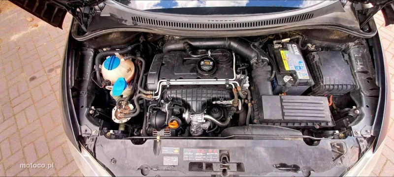 Seat Altea 33