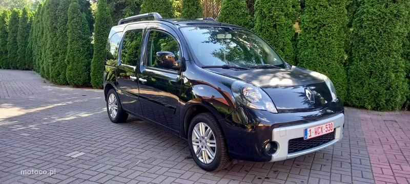 Renault Kangoo II 6