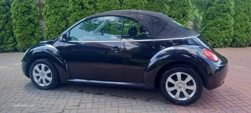 Volkswagen New Beetle 19
