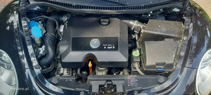 Volkswagen New Beetle 33