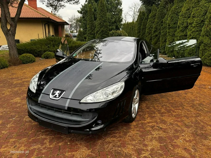 Peugeot 407 11