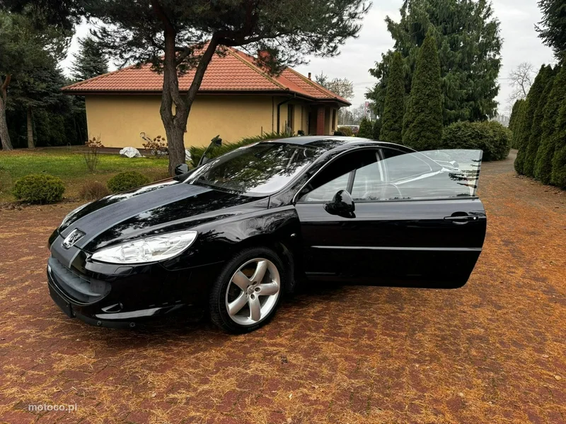 Peugeot 407 12
