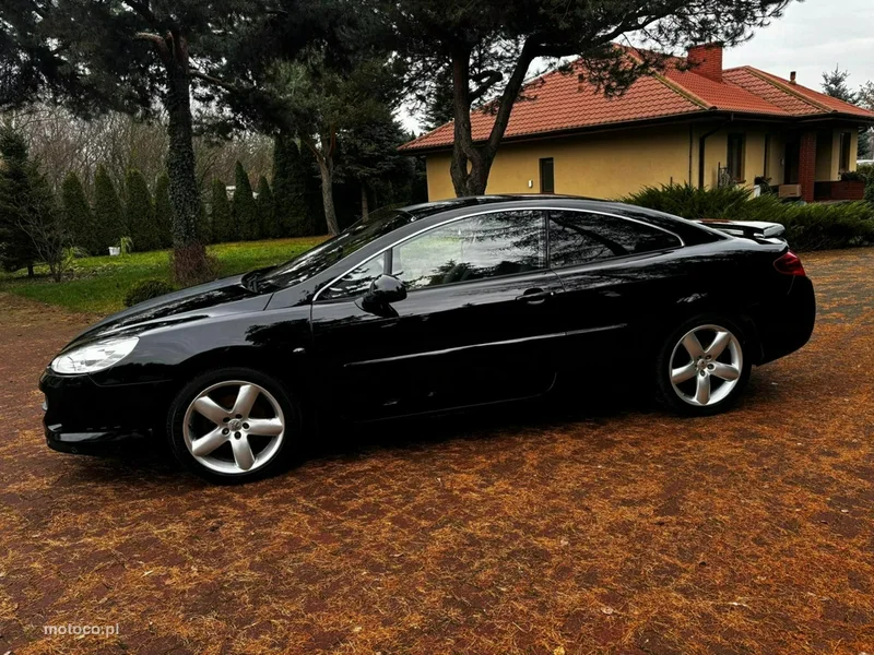 Peugeot 407 13
