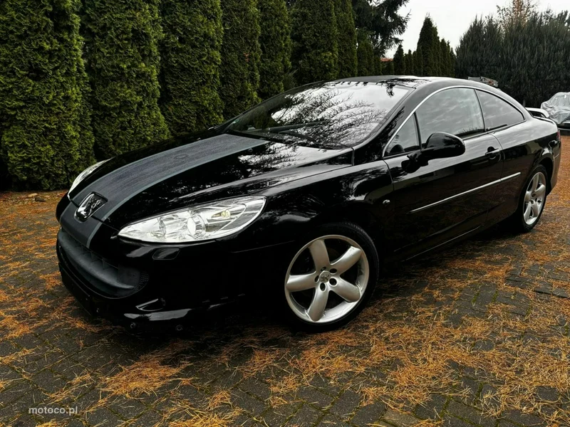 Peugeot 407 14
