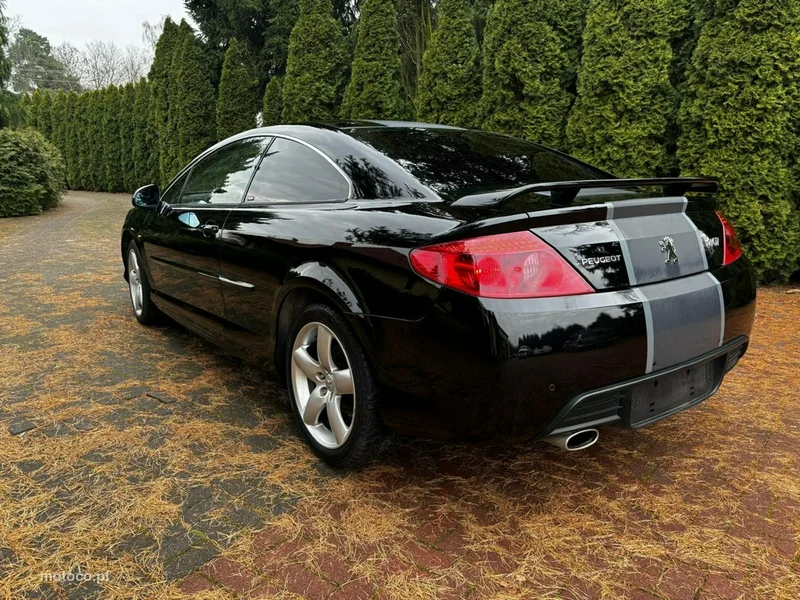 Peugeot 407 15