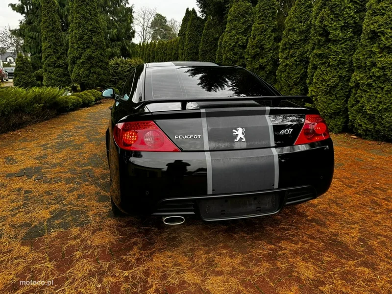 Peugeot 407 16
