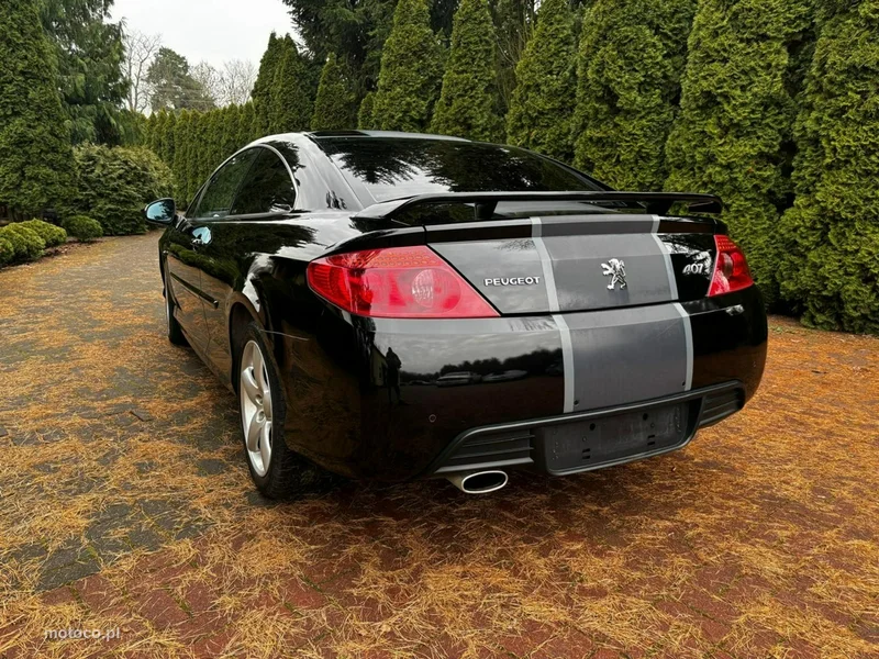 Peugeot 407 17