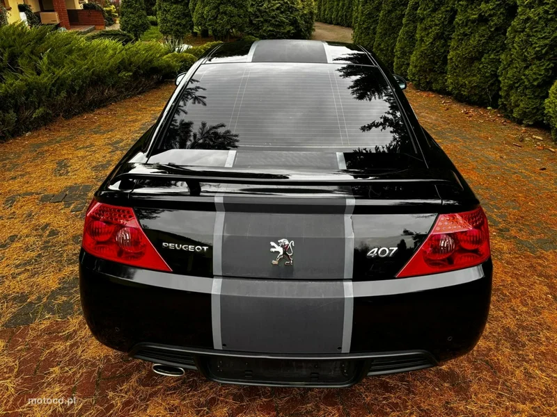Peugeot 407 19