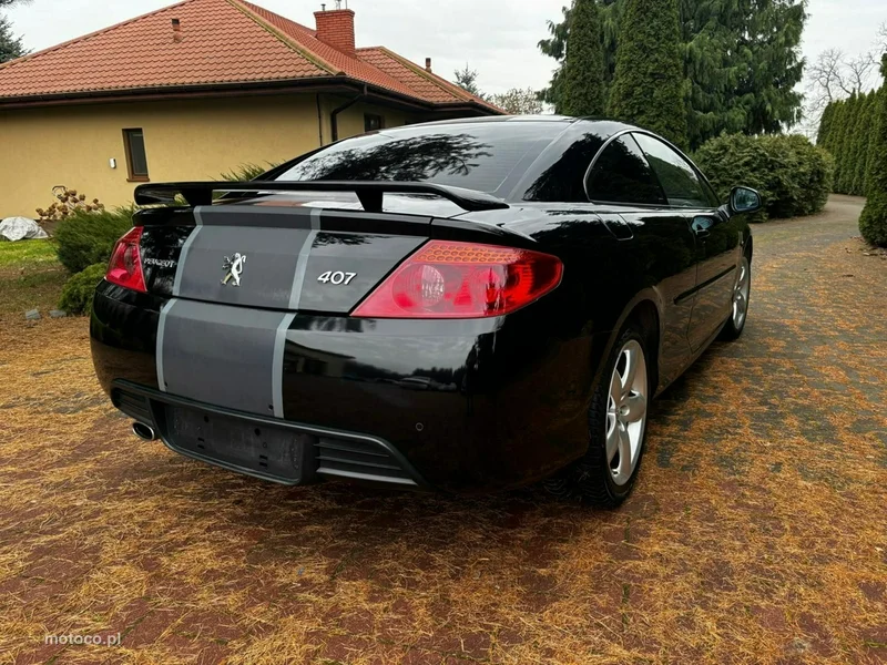 Peugeot 407 20