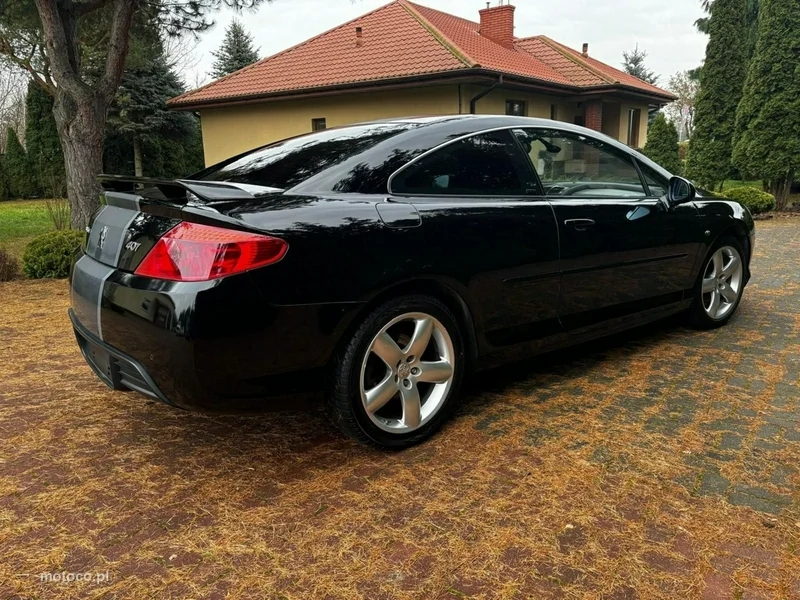 Peugeot 407 21