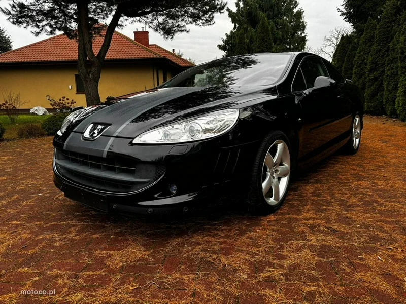 Peugeot 407 10