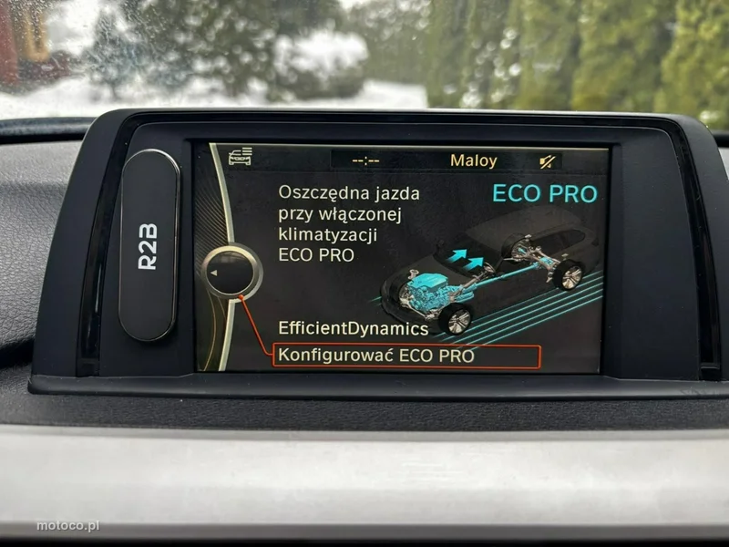 BMW Seria 3 F30 316 21