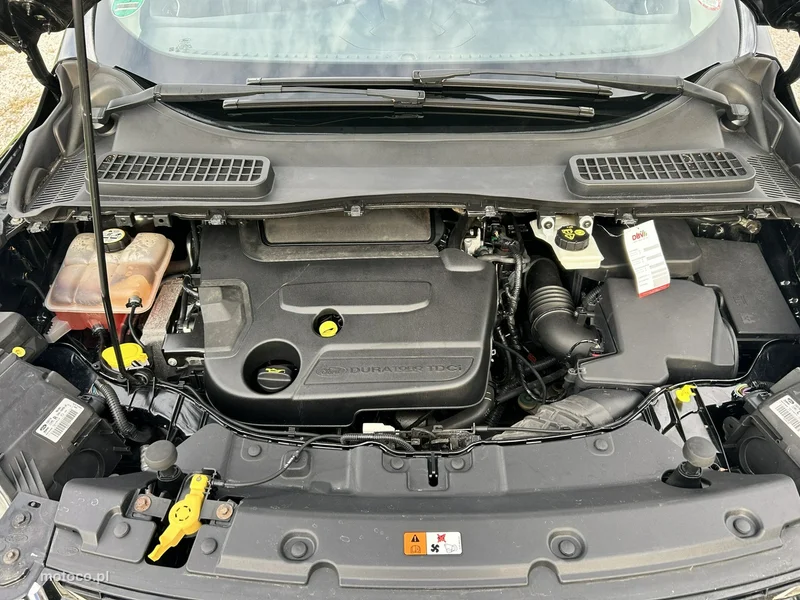 Ford Kuga II 21