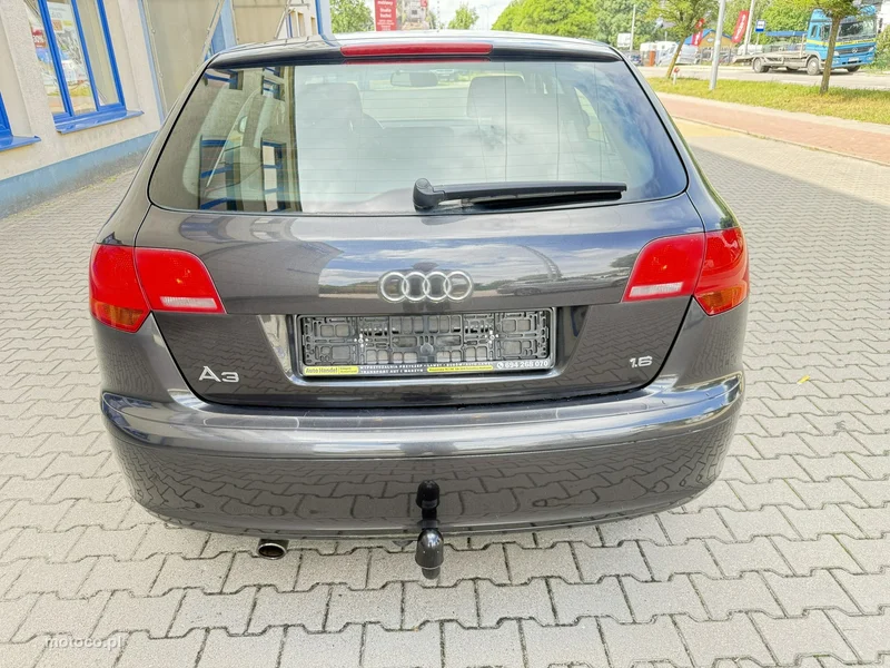 Audi A3 8P 13