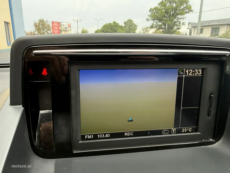 Renault Megane III 24