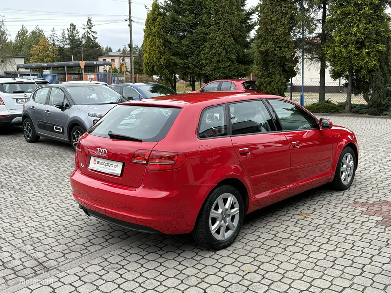 Audi A3 8P 6
