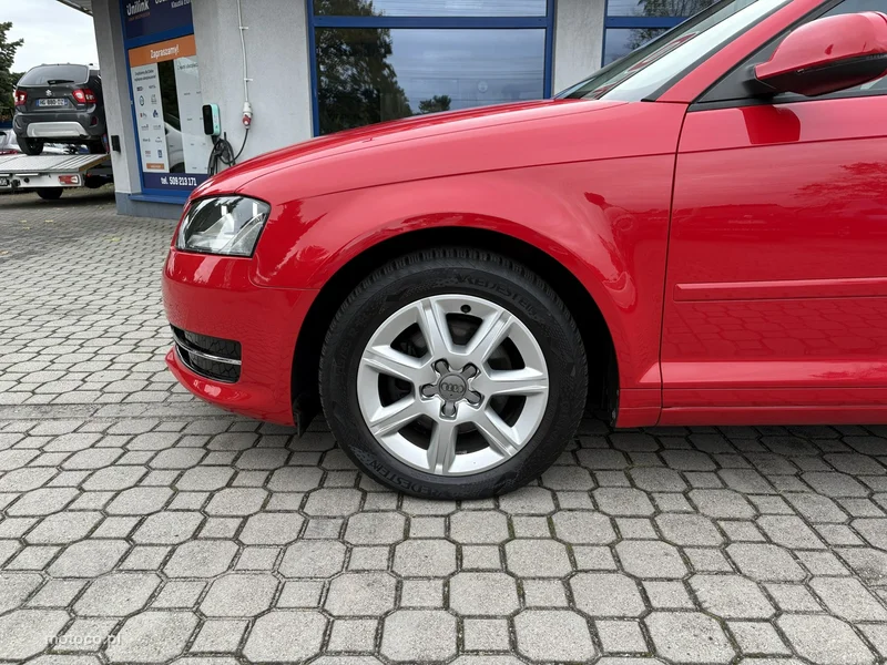 Audi A3 8P 10