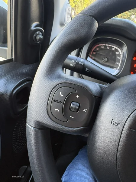 Fiat Panda 19